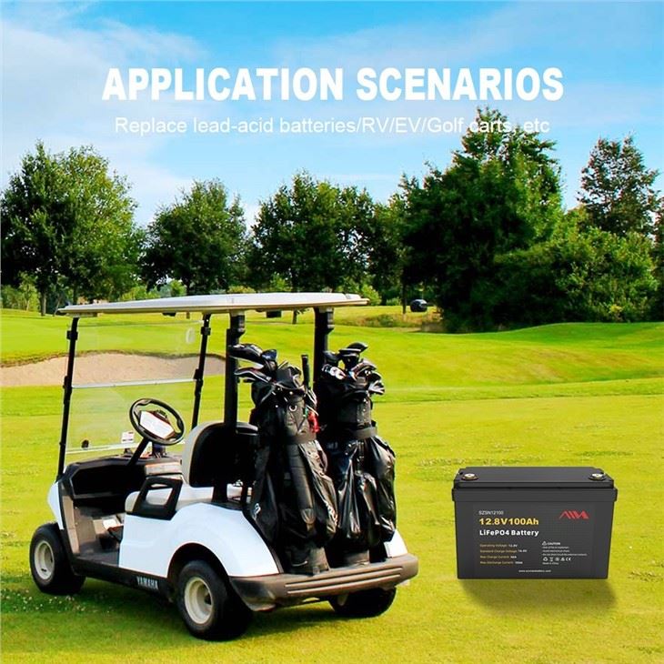 LiFePO4 Battery 12v 24v 36v 48v 50ah 100ah 150ah 200ah 300ah Deep Cycle Lithium Ion Battery 12V